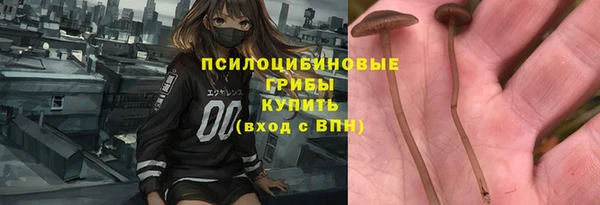 ГАЛЛЮЦИНОГЕННЫЕ ГРИБЫ Ступино
