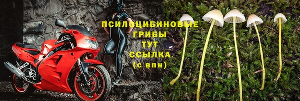 МДМА Богородицк