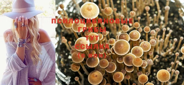 МДМА Богородицк