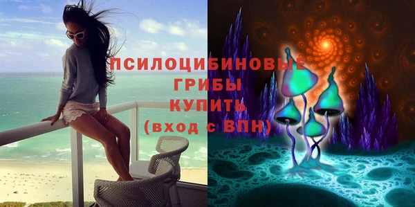 МДМА Богородицк