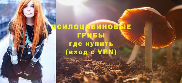 МДМА Богородицк